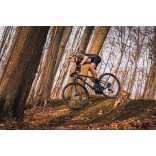 Pells Duke 1 2024 eggplant_8.jpg