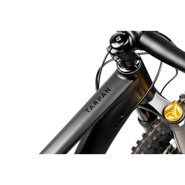 Pells Tarpan AM 2 2024 black_4.jpg