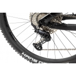 Pells Tarpan AM 2 2024 black_6.jpg