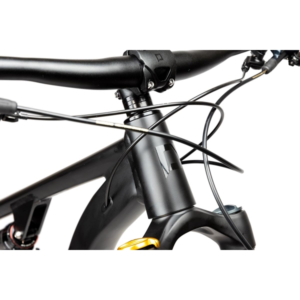 Pells Tarpan AM 2 2024 black_3.jpg
