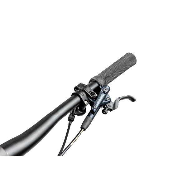 Pells Tarpan AM 2 2024 black_7.jpg