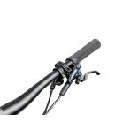 Pells Tarpan AM 2 2024 black_7.jpg