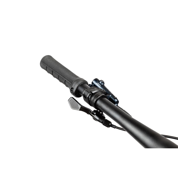 Pells Tarpan AM 2 2024 black_8.jpg