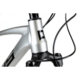 Pells Razzer Evo 2 2023 silver_2.jpg
