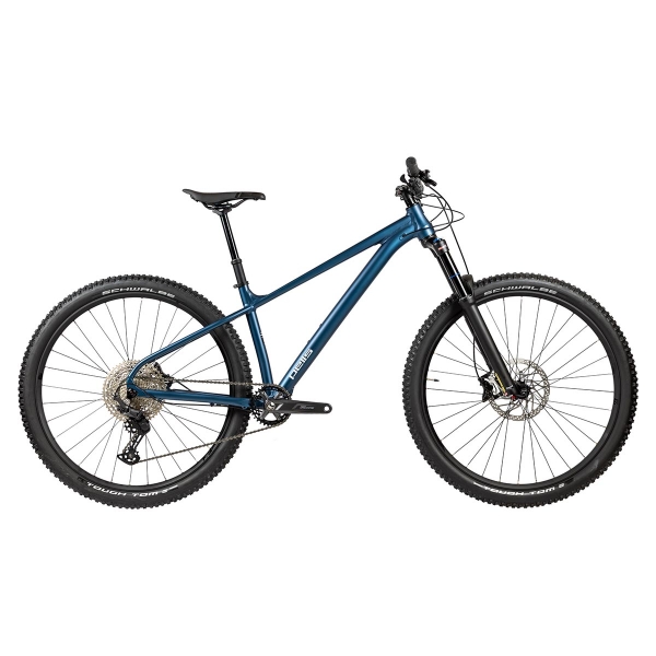Pells Root 2 2024 blue_1.jpg