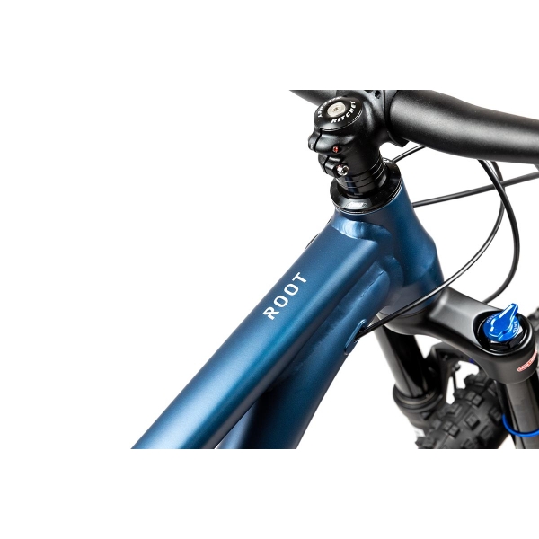 Pells Root 2 2024 blue_3.jpg