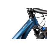 Pells Root 2 2024 blue_3.jpg
