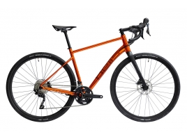 Pells Raw 2 2023 orange_1.jpg