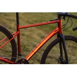 Pells Raw 2 2023 orange_5.jpg