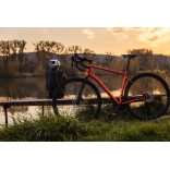 Pells Raw 2 2023 orange_7.jpg