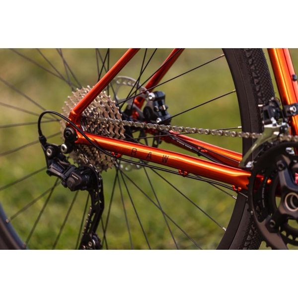 Pells Raw 2 2023 orange_6.jpg