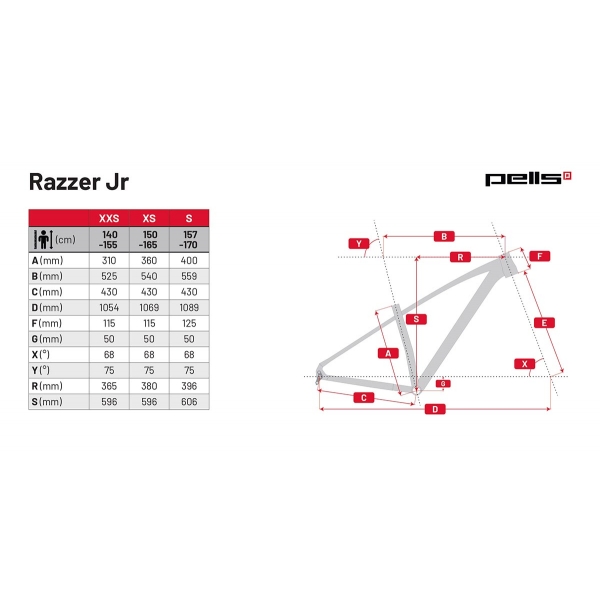 Pells Razzer Junior 2 27,5 2024 blue_6.jpg