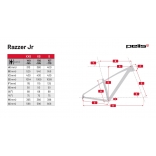 Pells Razzer Junior 2 27,5 2024 blue_6.jpg