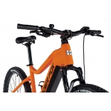 Arimo 2024 29 oranžový_2.jpg