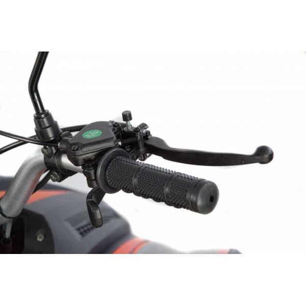 ATV Coyote 125CC XTR - 3G XXXI.jpg