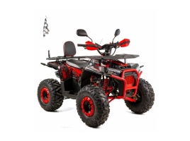 ATV Discovery 125CC XTR - Automatic 1+1 XV.jpg