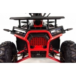 ATV Discovery 125CC XTR - Automatic 1+1 XXVIII.jpg