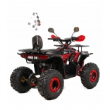 ATV Discovery 125CC XTR - Automatic 1+1 XVIII.jpg