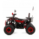 ATV Discovery 125CC XTR - Automatic 1+1 XVI.jpg
