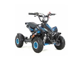 XTR Repti Nitro 49cc 2T VII.jpg