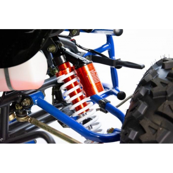 ATV RAPTOR 250cc XTR - Automatic_9.jpg