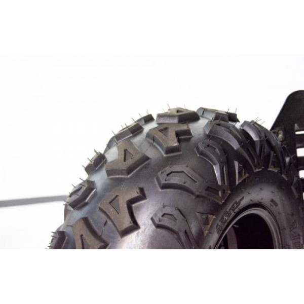 ATV RAPTOR 250cc XTR - Automatic_6.jpg