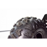 ATV RAPTOR 250cc XTR - Automatic_6.jpg
