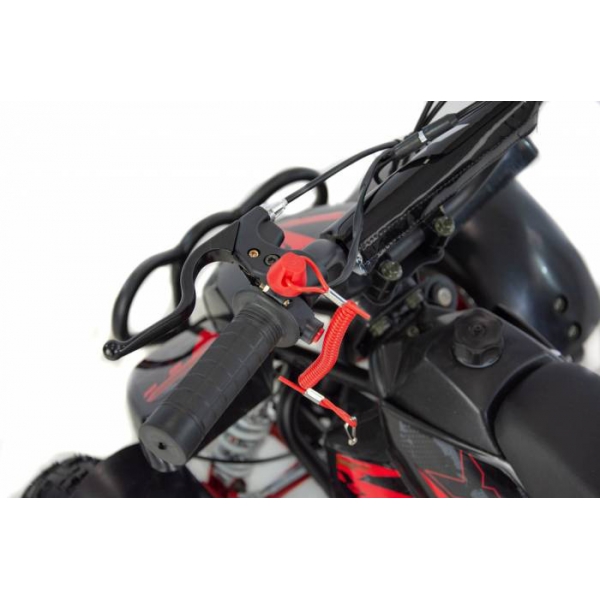 XTR Repti Nitro 49cc 2T XXXIV.jpg