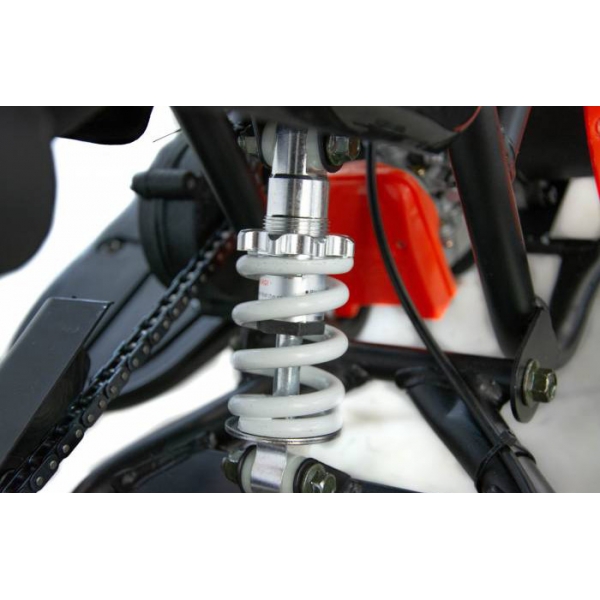 XTR Repti Nitro 49cc 2T XXXI.jpg