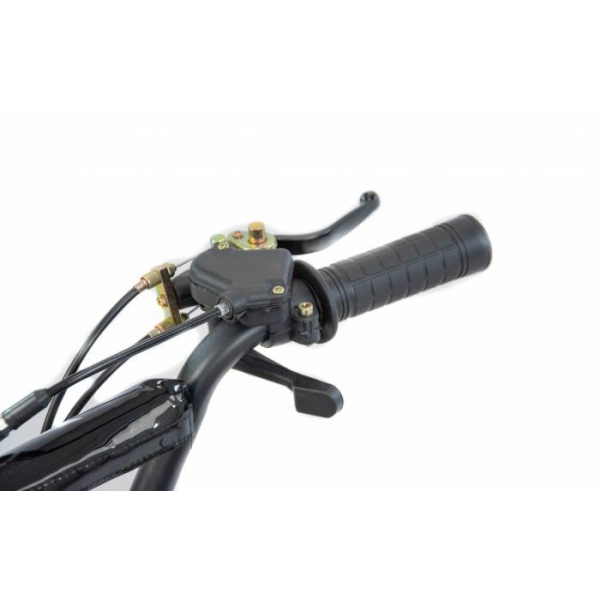 XTR Repti Nitro 49cc 2T XXIV.jpg