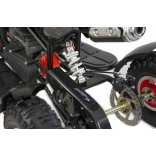 XTR Repti Nitro 49cc 2T XXV.jpg