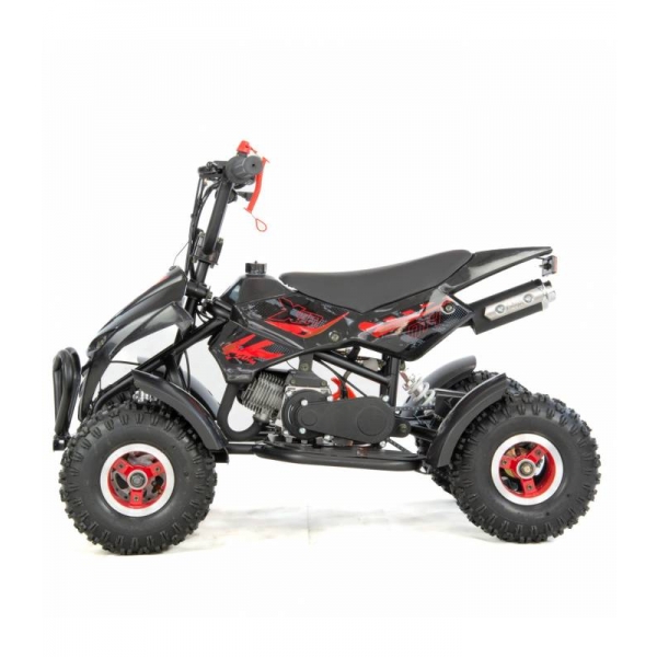 XTR Repti Nitro 49cc 2T VIII.jpg