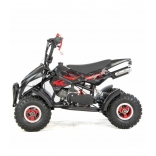 XTR Repti Nitro 49cc 2T VIII.jpg