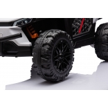 UTV Small White_2.jpg