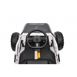 SPORT_KART_BLACK 21.jpg