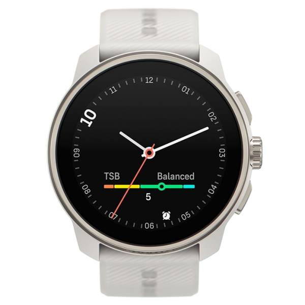 race S powder gray IV.png