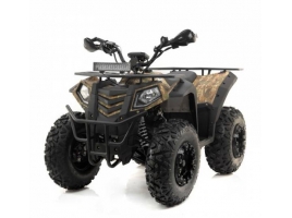 Apollo Magnum 250_4.jpg