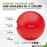 Gymnastický míč TUNTURI zesílený 65 cm Červený.jpg