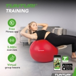 Gymnastický míč TUNTURI zesílený 65 cm Červený.jpg