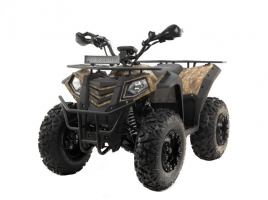 Leramotors By APOLLO RFZ 250 camo_1.jpg