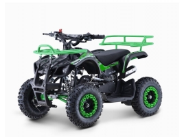 Leramotors Storm Mini 49Ccm E-Start green_1.jpg