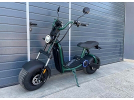 Lera Scooters C6 2000W green_1.jpg