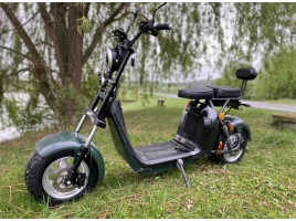 Lera Scooters C2 2000W green_1.jpg
