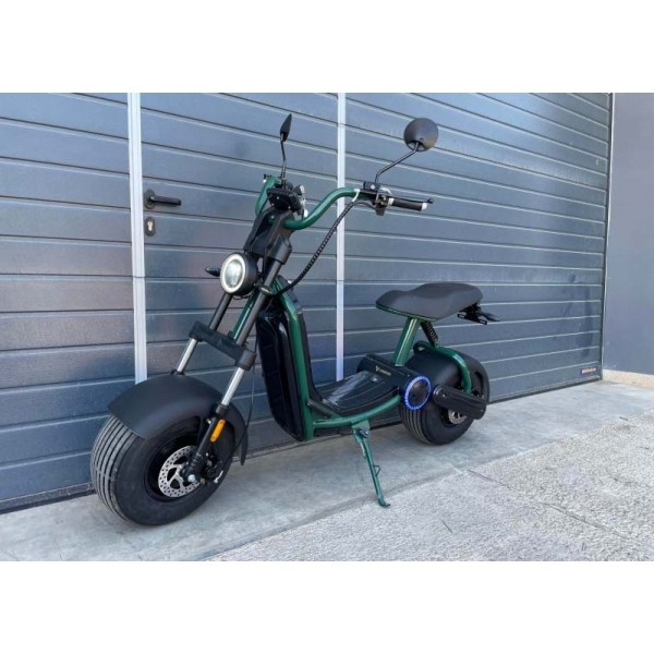 Lera Scooters C6 2000W green_1.jpg