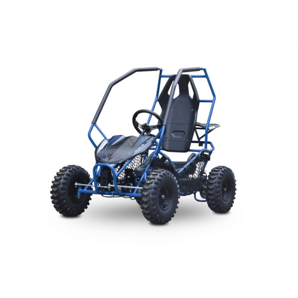 Buggy Leramotors Razor II Deluxe 1000W blue_1.jpg