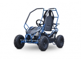 Buggy Leramotors Razor II Deluxe 1000W blue_1.jpg