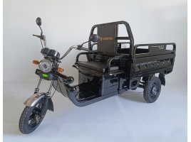 Leramotors Cargo G1 1000W COC black_1.jpg