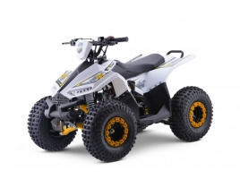 Leramotors Monkey 125 Ccm Automat yellow_1.jpg