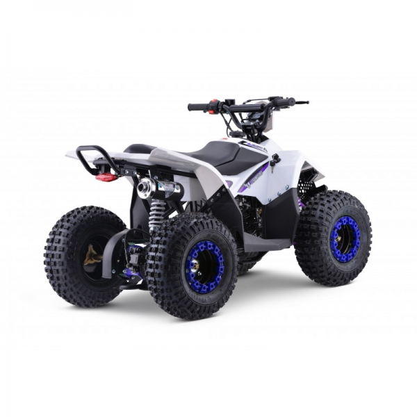 Leramotors Monkey 125 Ccm Automat blue_5.jpg