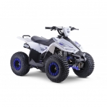 Leramotors Monkey 125 Ccm Automat blue_7.jpg